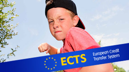 Organización Escolar: Prevención y control de la violencia en centros educativos